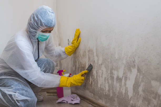Crawl Space Mold Removal in Duvall, WA