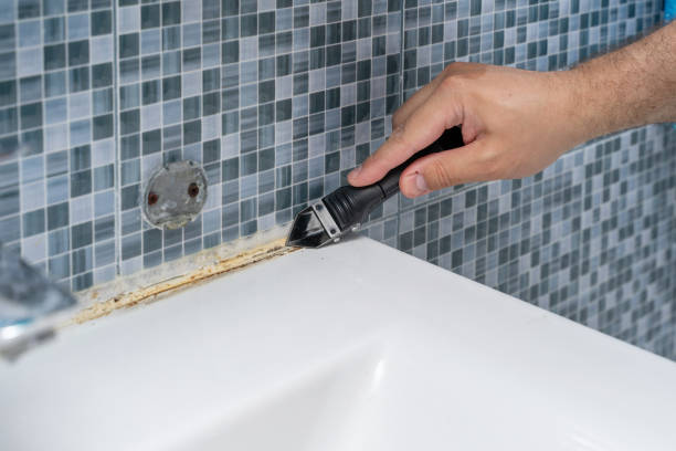 Best Office Mold Removal Services  in Duvall, WA