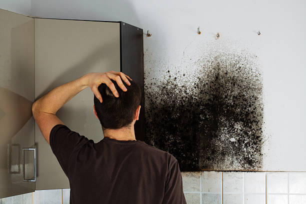 Best Residential Mold Removal  in Duvall, WA
